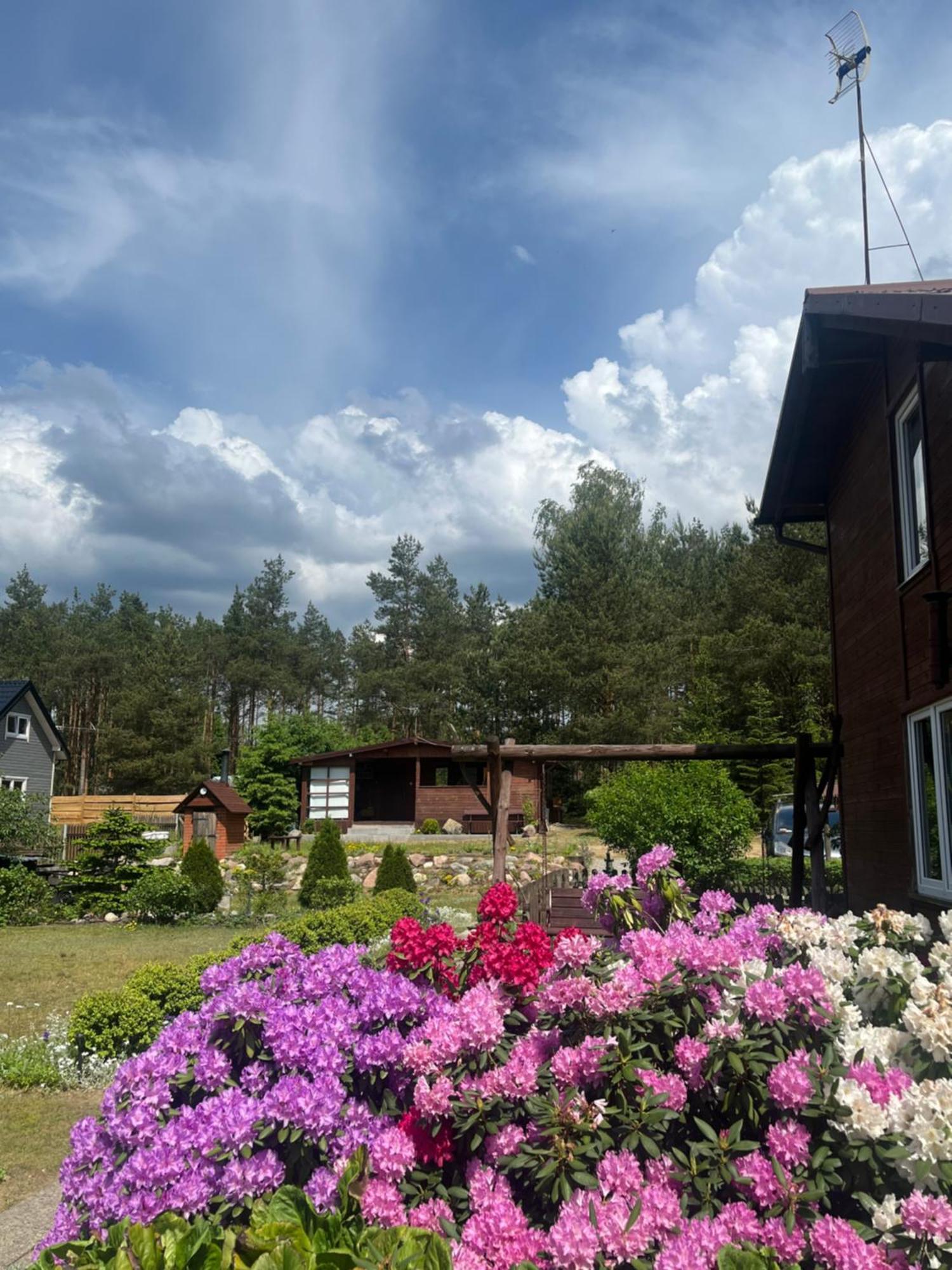 Domek Stas Wiele Exterior foto